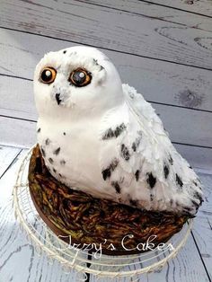 a cake shaped like an owl sitting on top of a wire rack