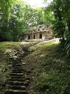 steps lead up to an old building in the woods