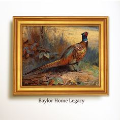 a painting of a pheasant in a gold frame on a white wall with the words baylor home legacy written below it