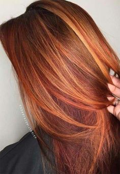 Ombre Colour, Red Hair Color Ideas, Red Blonde, Red Blonde Hair, Gem Tones, Short Red Hair, Colored Hair Tips