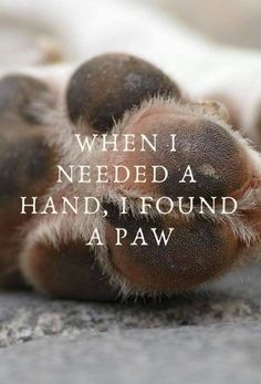 a dog paw with the words when i needed a hand, i found a paw