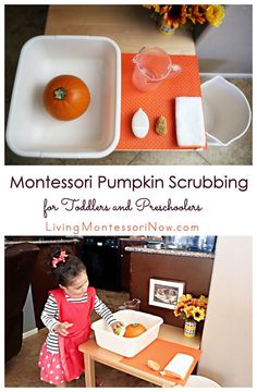 Pumpkin scrubbing is a fun fall Montessori practical life activity that develops many skills for toddlers and preschoolers. It's a great activity for home or classroom. Post includes YouTube video and lots of Montessori-inspired pumpkin activities. Montessori Pumpkin, Montessori Jobs, Pumpkin Preschool, Pumpkin Scrub, Pumpkin Lessons, Preschool Montessori, Toddler Montessori, Montessori Elementary, October Activities