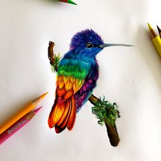 a colorful bird sitting on top of a tree branch next to colored pencils and crayons