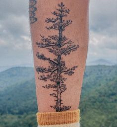 Aspen Tattoo Ideas, Redwood Tattoo, Wilderness Tattoo, Forest Tattoo, Pine Tree Tattoo, Forest Tattoos, Mountain Tattoo, Tree Tattoo, Tattoo Inspo