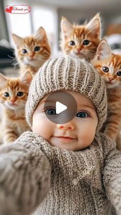 a baby wearing a knitted hat with kittens on it's head and the caption, happy birthday