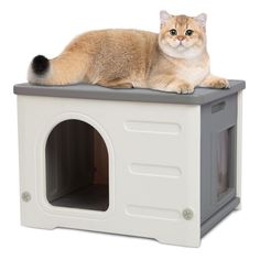 a cat laying on top of a dog house