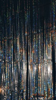 the lights are shining through the trees in the forest, and it looks like they have been