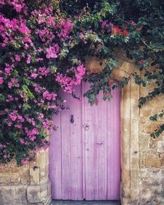 a purple door surrounded by pink flowers and greenery on an old stone house wall