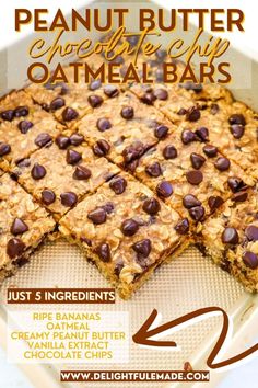 peanut butter chocolate chip oatmeal bars in a pan with text overlay