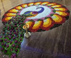 Peacock Pookkalam Flower Rangoli Pookalam Design, Flower Carpet, The Festival, Rangoli Designs, Bangalore, Kerala, 10 Days, Carpet, Apartment