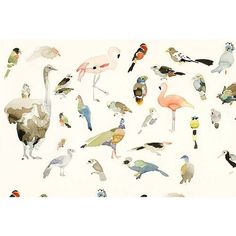 watercolor painting of birds on white paper with black and yellow accents, including one bird in the middle