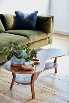 a living room with a couch, coffee table and potted plant on the floor