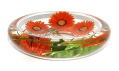 an orange flower in a clear bowl filled with green leaves and water on a white background