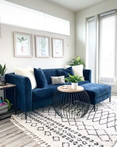 a living room with blue couches and white rugs on the hardwood flooring