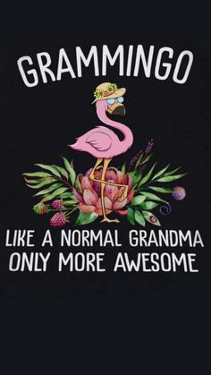 a pink flamingo sitting on top of a black background with the words grammingo like a normal grandma only more awesome