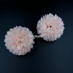 two pink flowers on a black background with the words b & b crafts above them