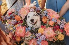 a dog is surrounded by flowers and other people