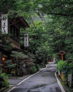 an empty street in the middle of a forest with lots of trees on both sides