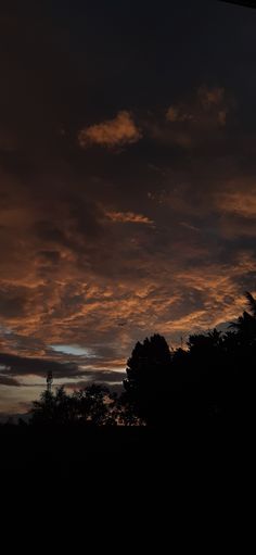 the sky is very dark and cloudy at night, with trees silhouetted against it