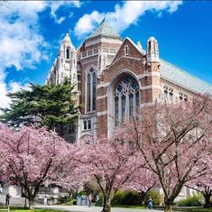 the building has many cherry trees in front of it