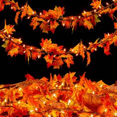 an image of fall leaves with lights on them