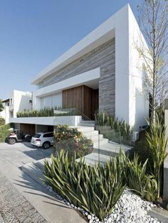 a modern house with plants and cars parked in the driveway