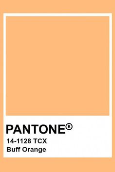 the pantone color is shown in an orange hue, and it has a white square on