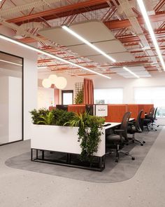 an empty office with plants in the middle