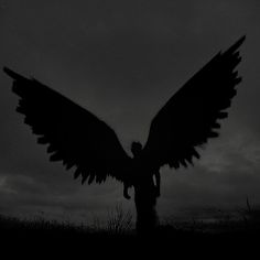 the silhouette of a large bird with its wings spread in front of a cloudy sky