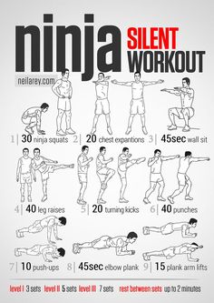 an image of a poster with instructions on how to do the ninja silentt workout