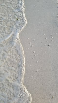 footprints in the sand and water at the beach