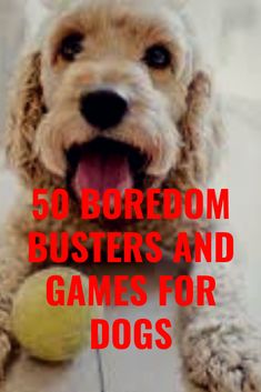 a dog with its paw on a tennis ball and the words, 50 boredom busters and games for dogs