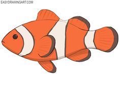 an orange and white clown fish with black stripes