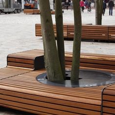 several wooden benches with trees in the middle