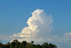 a large cloud is in the sky above some trees