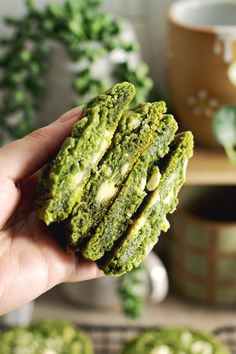 a person is holding up some cookies in front of green leaves and a potted plant