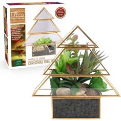 a christmas tree planter with rocks and succulents is shown in front of the box