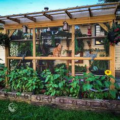 an outdoor garden with lots of plants and birds in the birdcage on top