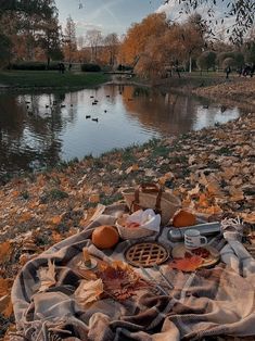 a picnic blanket with food on it next to a lake