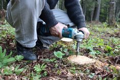 a man is using a drill to cut wood in the woods