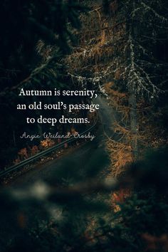 an image with the quote autumn is serenity, an old soul's passage to deep dreams