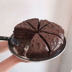 a person holding a plate with a chocolate cake on it and a knife in the middle