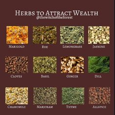 Herbs For Wealth, Money Herbs, Witchcraft Herbs, Spells For Beginners, Traditional Witchcraft, Spell Work, Magic Spell Book