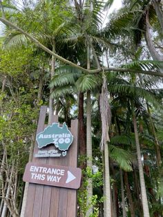 an entrance sign for the rainforest zoo with palm trees in the foreground and another sign on the right side