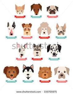 the dogs are all different sizes and colors on this poster, which is also available for purchase