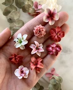 a person's hand is holding several small flowers in their palm, and the petals are pink and white