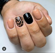 Javan Leopard, Leopard Nail Art, Spring Nails Art, Nails Art Ideas, Leopard Print Nails, Nail Style, Shellac Nails, D P