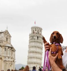 a man holding a dog in front of the leaning tower