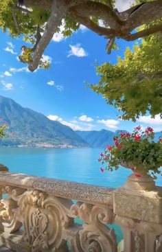 a scenic view of the water and mountains from a balcony with flowers in vases