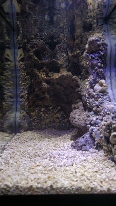 an aquarium filled with lots of different types of rocks and gravel, including corals